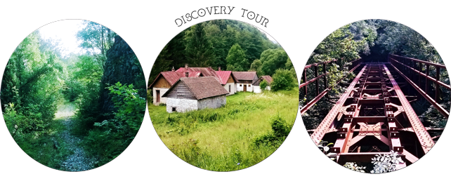 Discovery Tour
